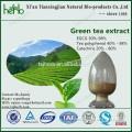 manufacturer top grade green tea extract
